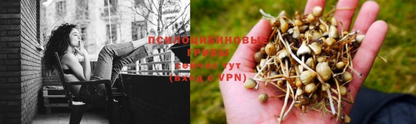 эйфоретик Арсеньев