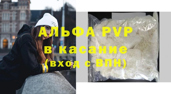 эйфоретик Арсеньев