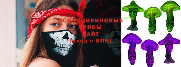 гашик Аркадак
