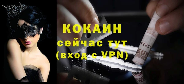 гашик Аркадак
