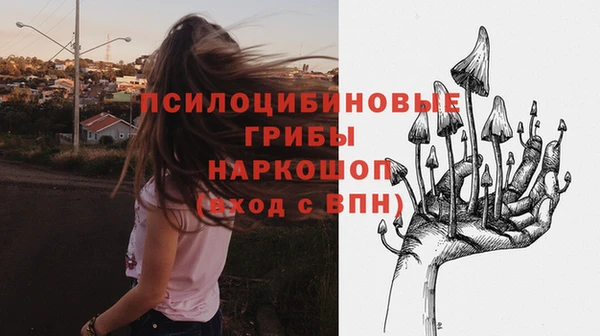эйфоретик Армянск