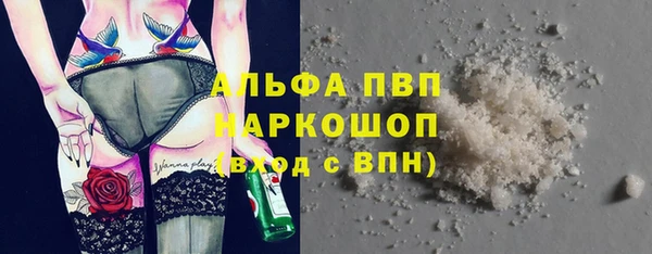 гашик Аркадак