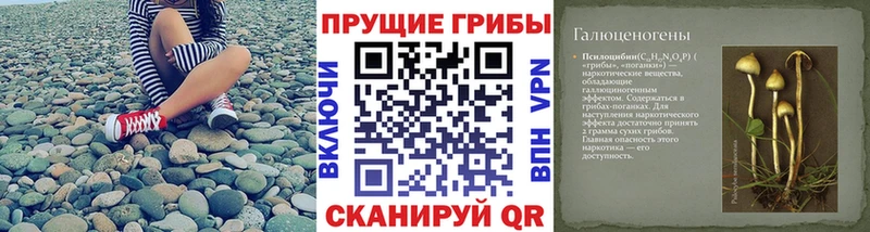 Псилоцибиновые грибы MAGIC MUSHROOMS Городец